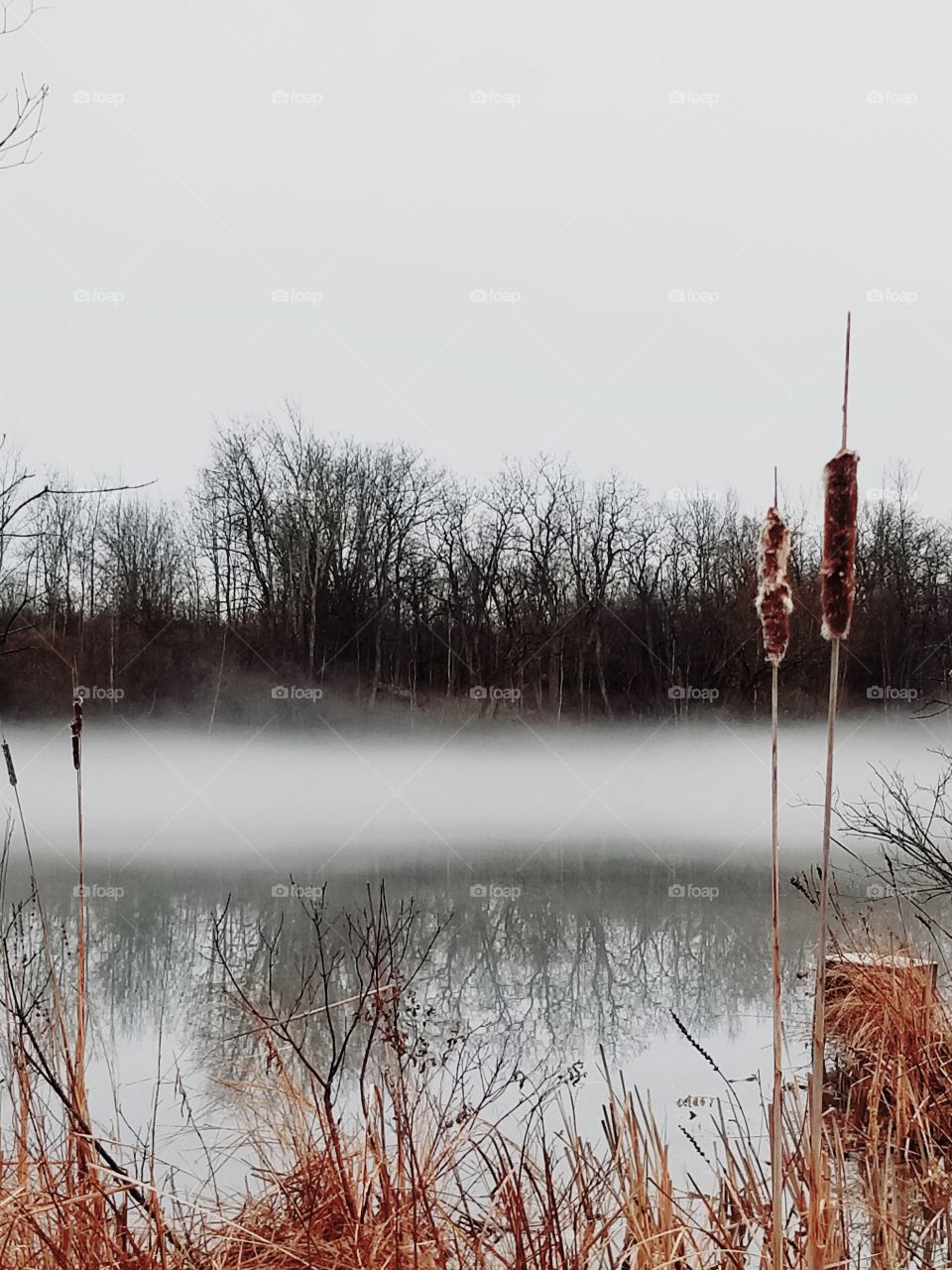 Niagara fog