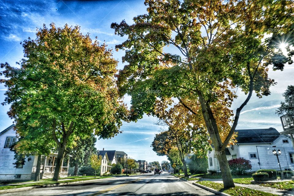 Autumn Afternoon Drive