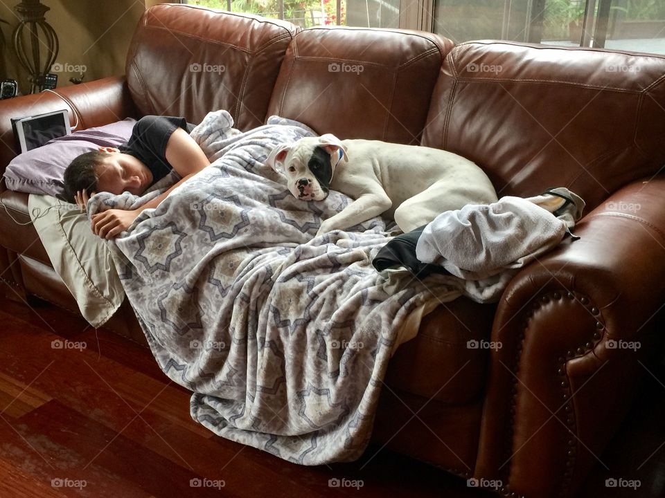 Boy and his pet dog sleeping on the sofa