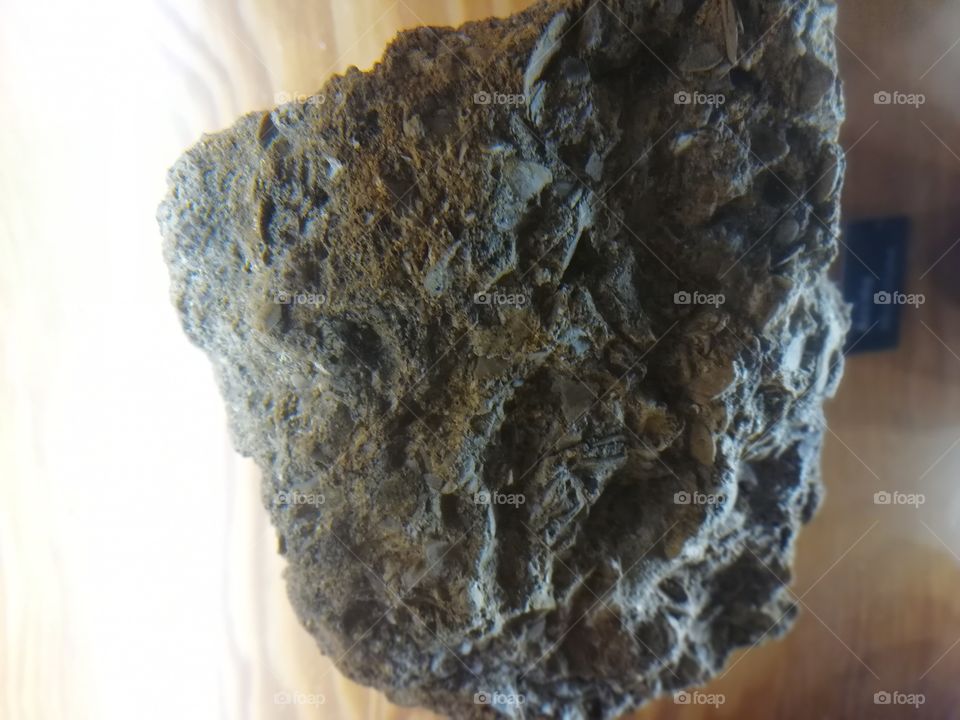 Rocas antiguas fosiles