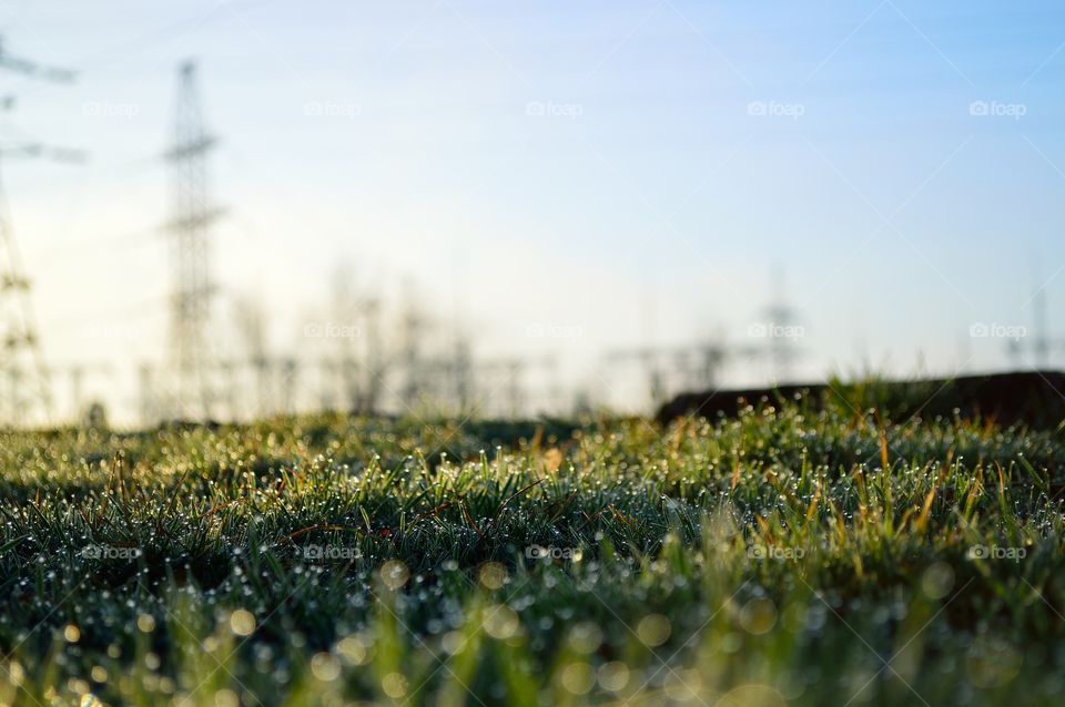 spring morning in the city