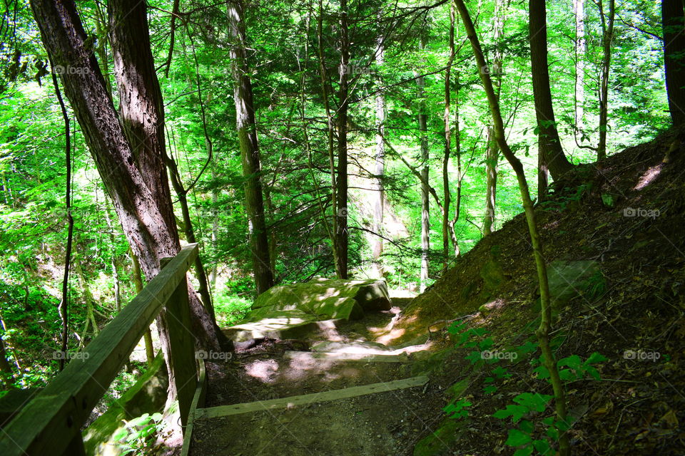 A hike in the woods in the park in Indiana 