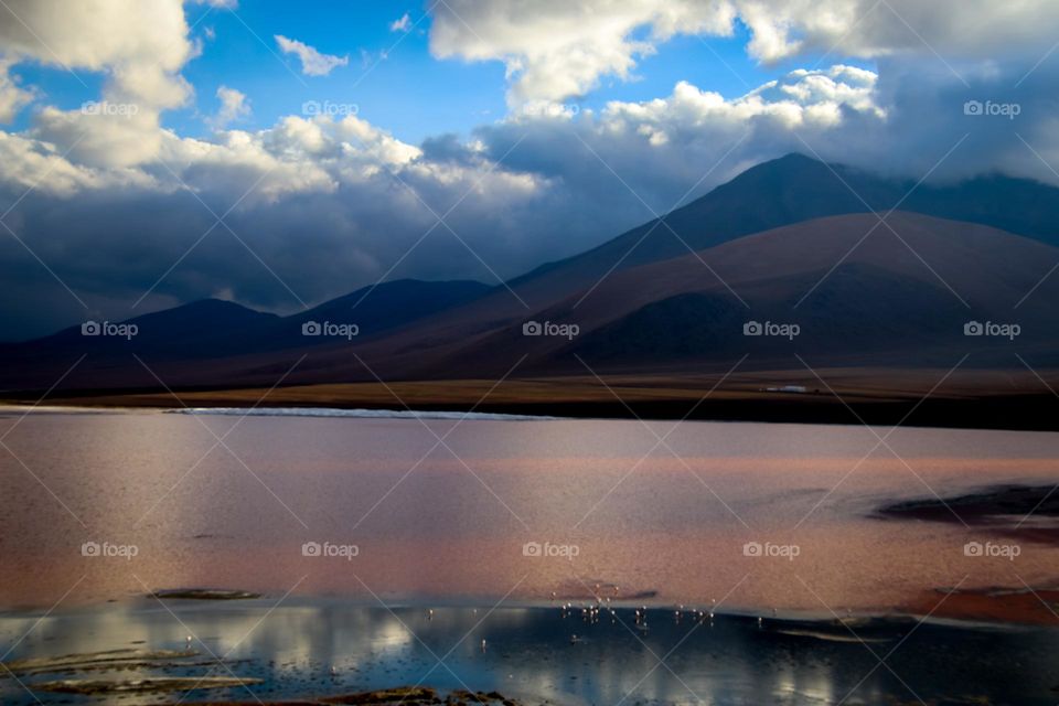 Laguna Colorado