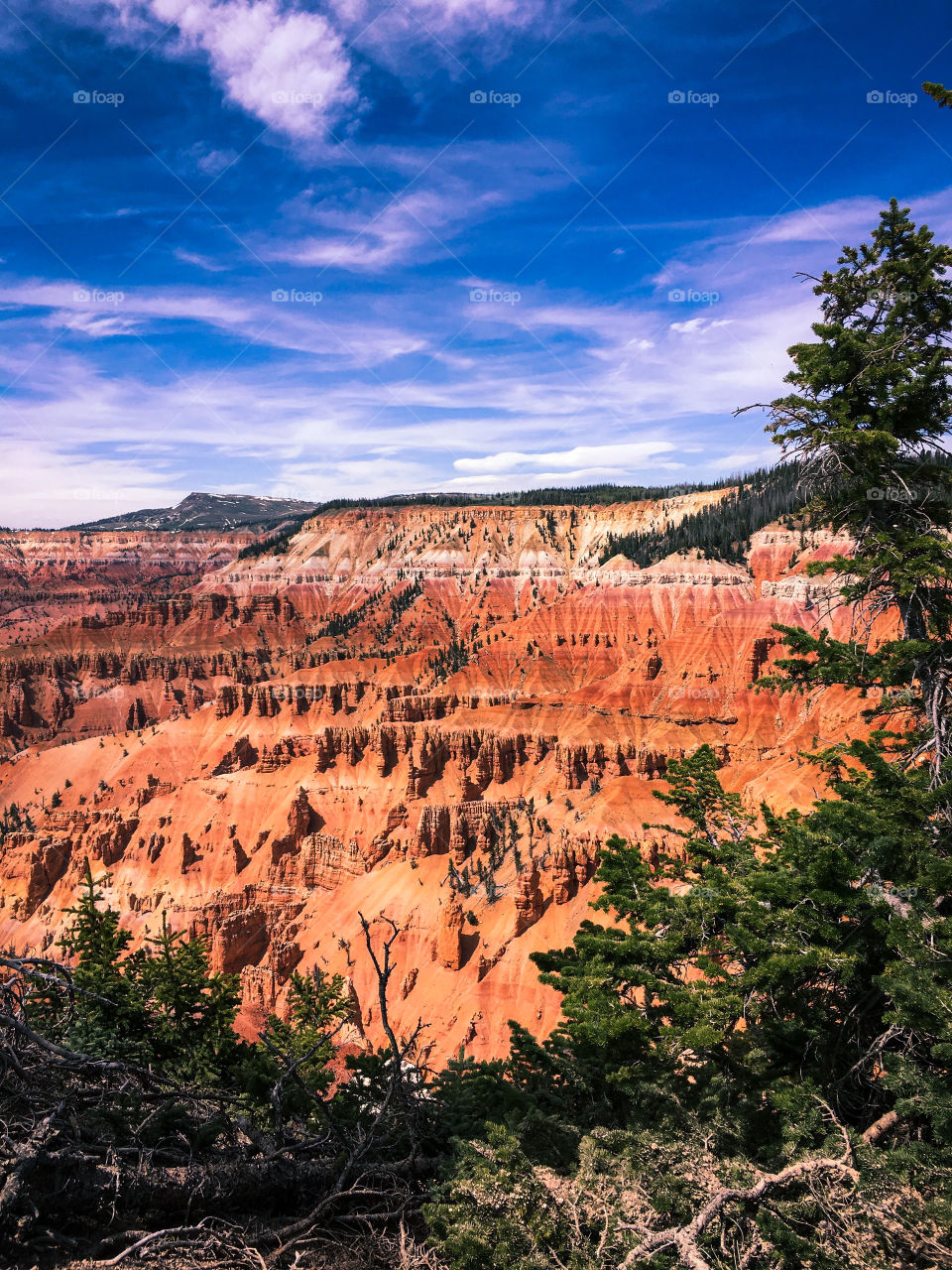 View of cedar breaks in Utah 