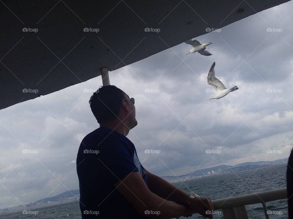 when the seagulls confide in you