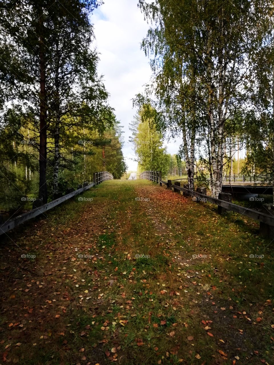 Color of finnish autumn natural