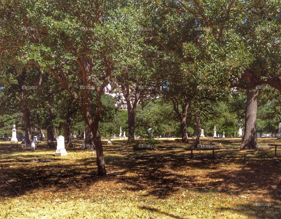 Confederate cemetery 
