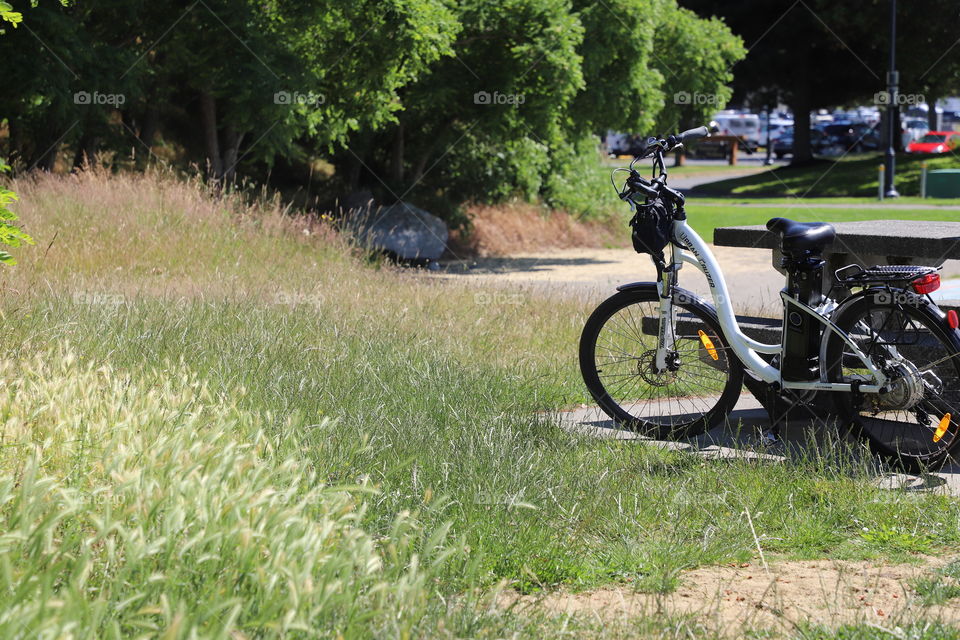 Bike parked in the park