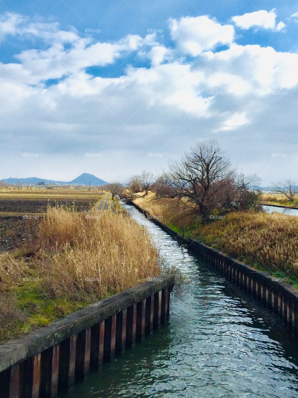 beautiful countryside