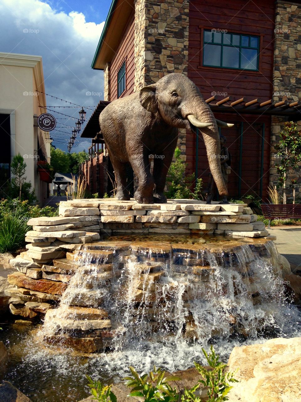 Elephant Fountain 
