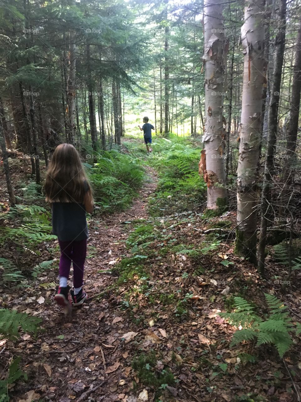 Hiking in the Adirondacks 