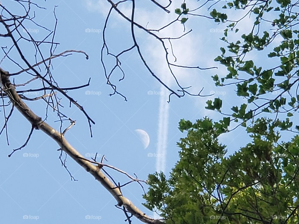 The moon, in between