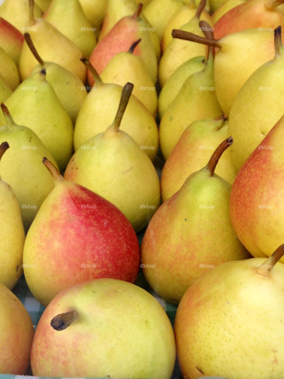 nature natur autumn fruit by cabday