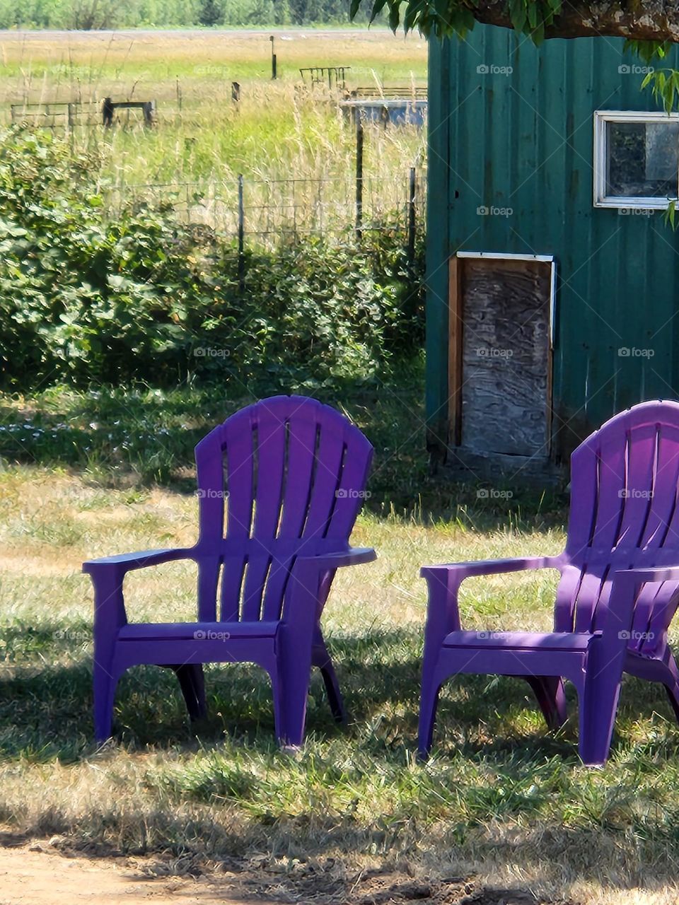 two purple chairs in the shade to relax and chat in on an Oregon farm in the afternoon