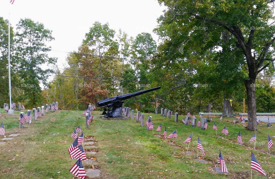 veteran grave yard