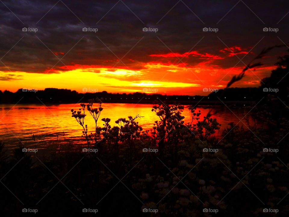A beautiful view at sunset in Indiana on the lake on a summer day 