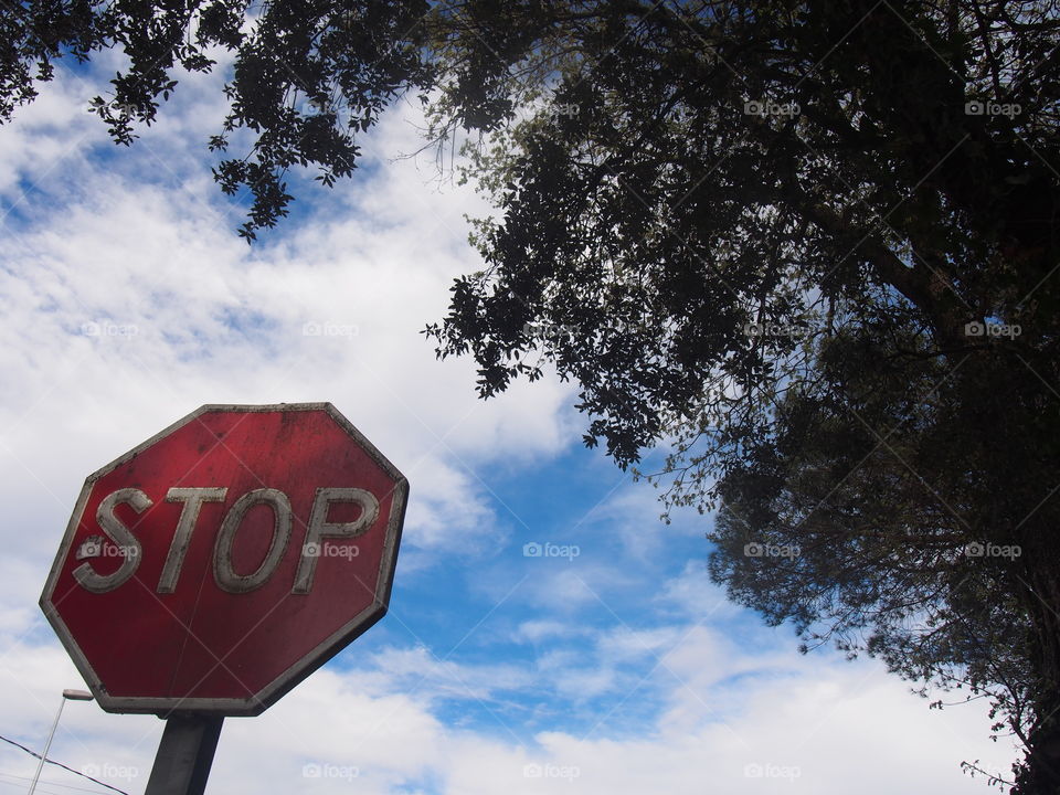 Stop sign tree branches and blue sky