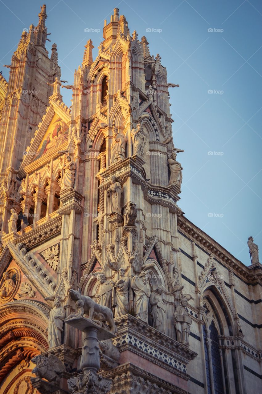 Detalle Fachada Catedral de Siena (Siena - Italy)
