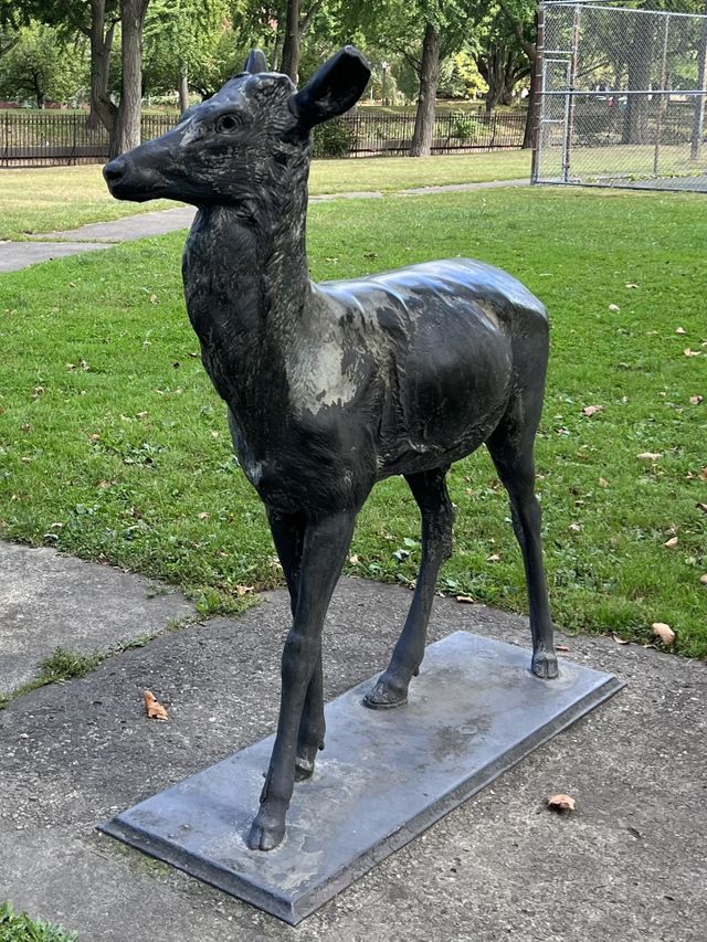 Iron buck