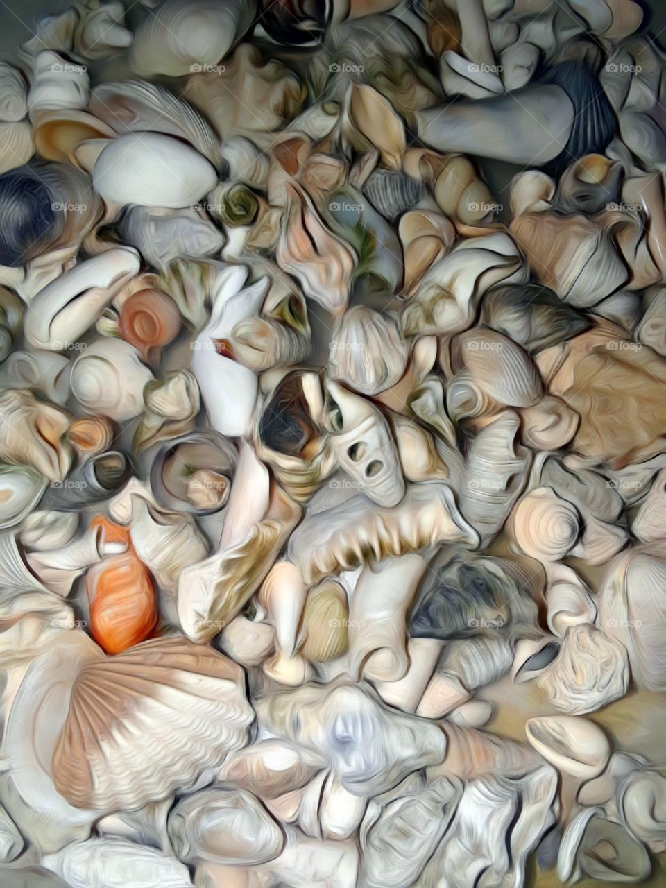 seashell blur art