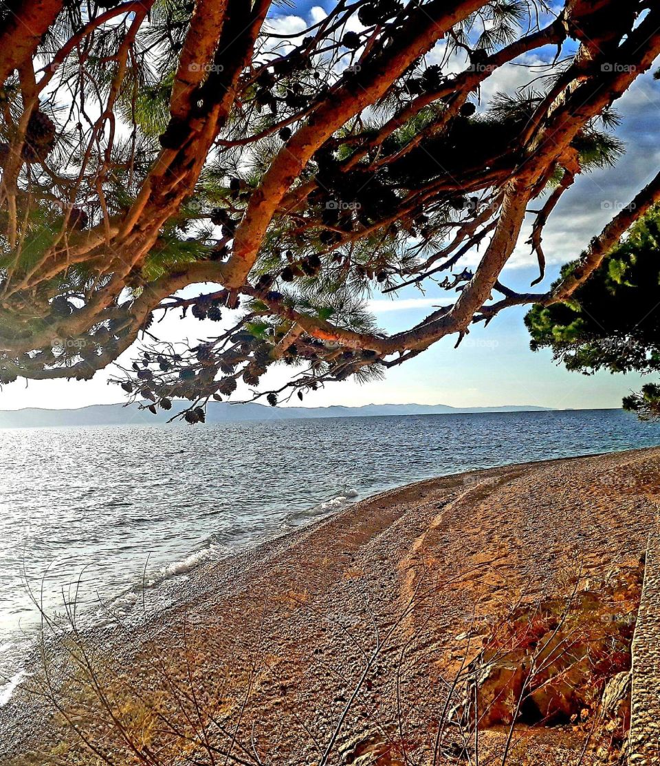 Beach Igrane Makarska from to Croatia