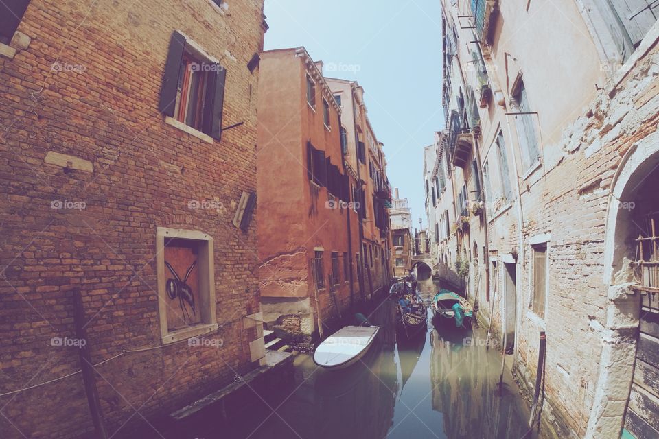 Venezia