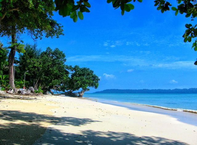 beautiful beach view of havelock Andaman island of India - Indian Ocean coast