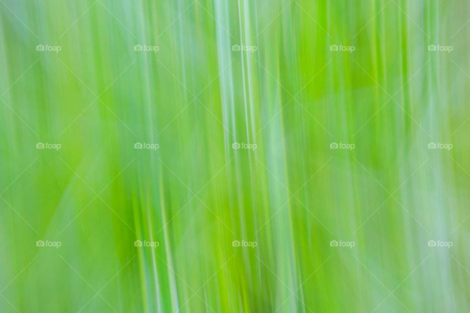 Intentional Camera Movement