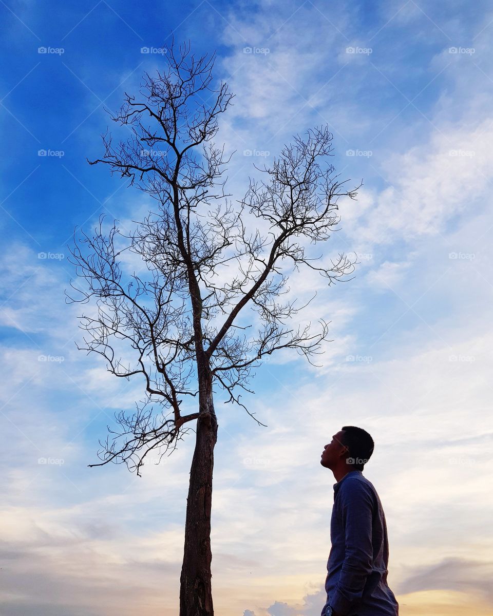 Man stands near bare tree against sunset sky