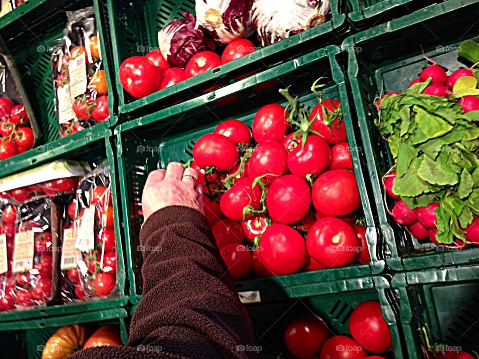 Picking tomatoes