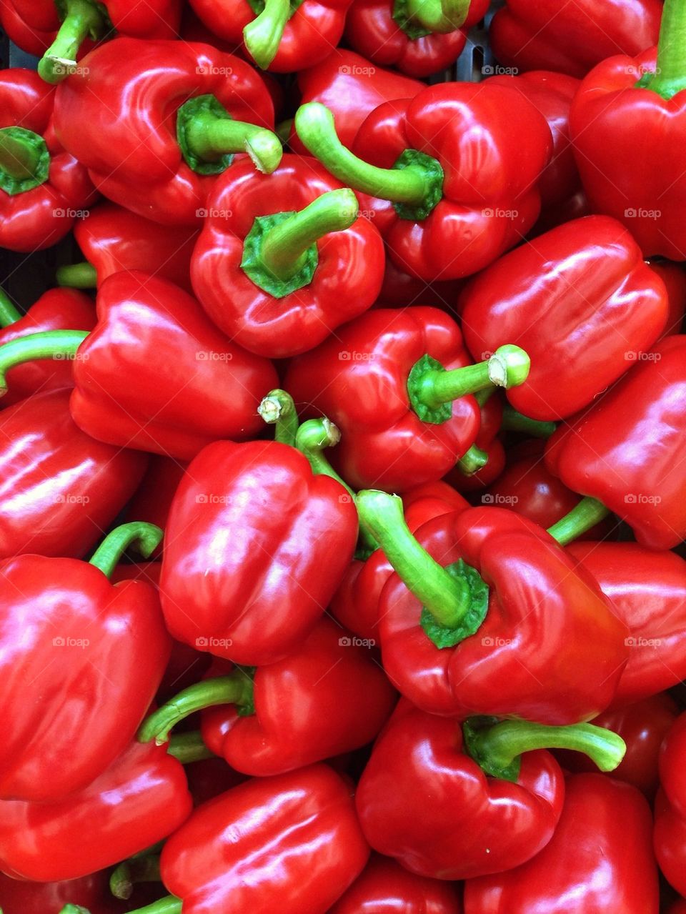 High angle view of red bell pepper