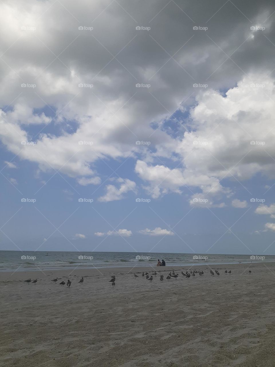 A landscape photo of Ponce Inlet Beach where many birds are on the beach. The sky was very cloudy this day.