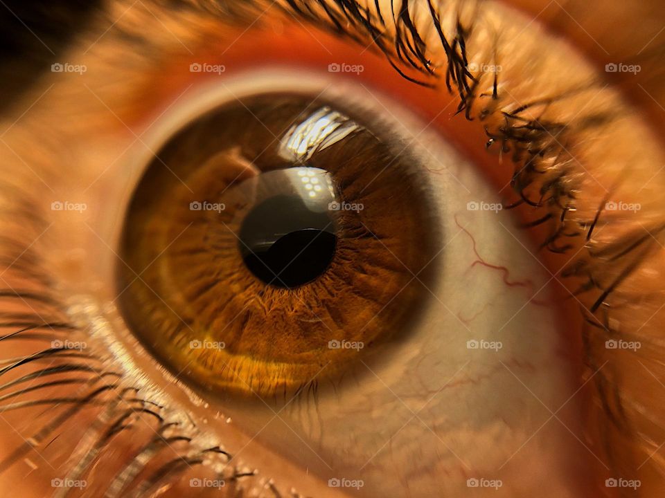 Close up of human eye