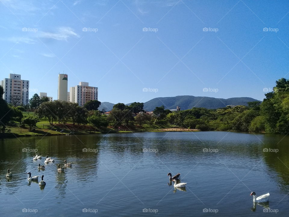 Salve, dona #Natureza, por mais um dia de beleza e contemplação!
📸
#inspiration #fotografia #paisagem #nature #lago #landscapes #Jundiaí #AmoJundiaí #photography
#FotografiaÉnossoHobby