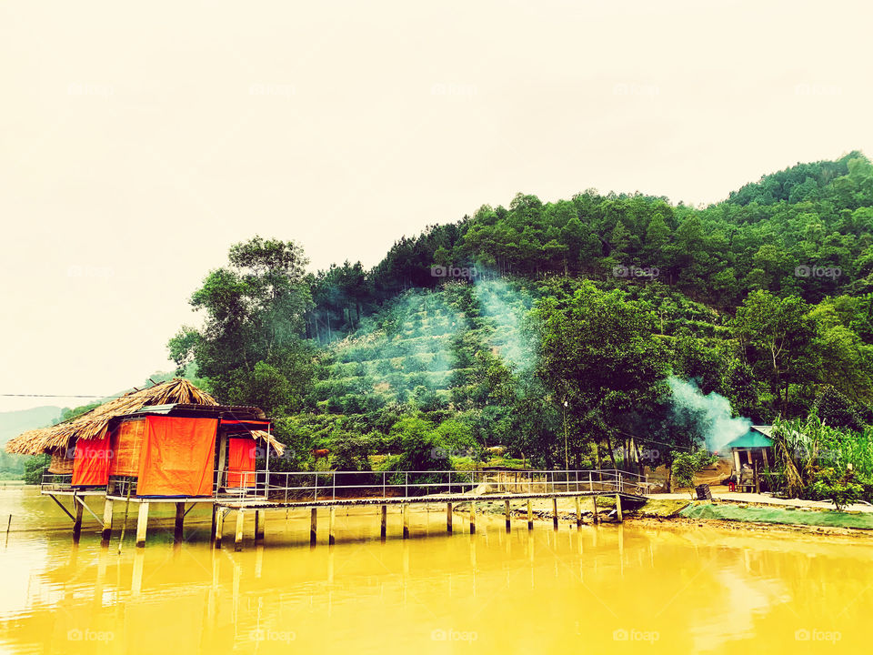 Smug over the cottage