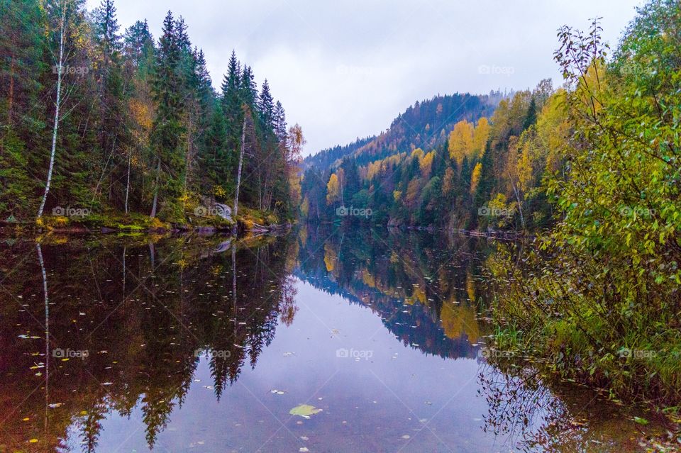 View of autumn trees reflecting on lake