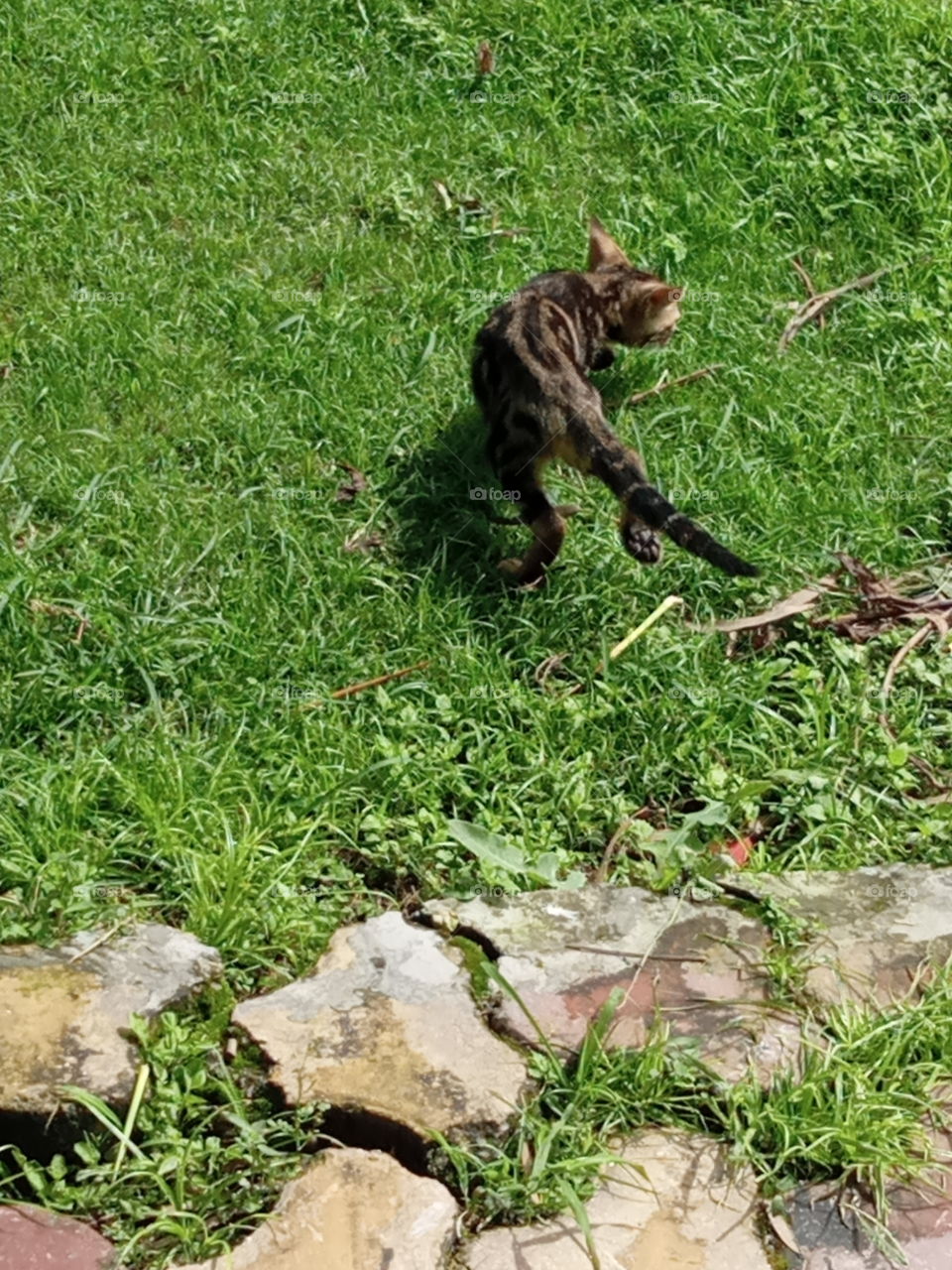 Looking for a playmate 😍