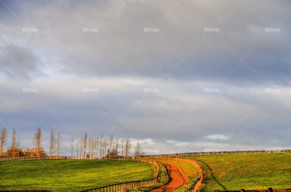 Farm. Landscape