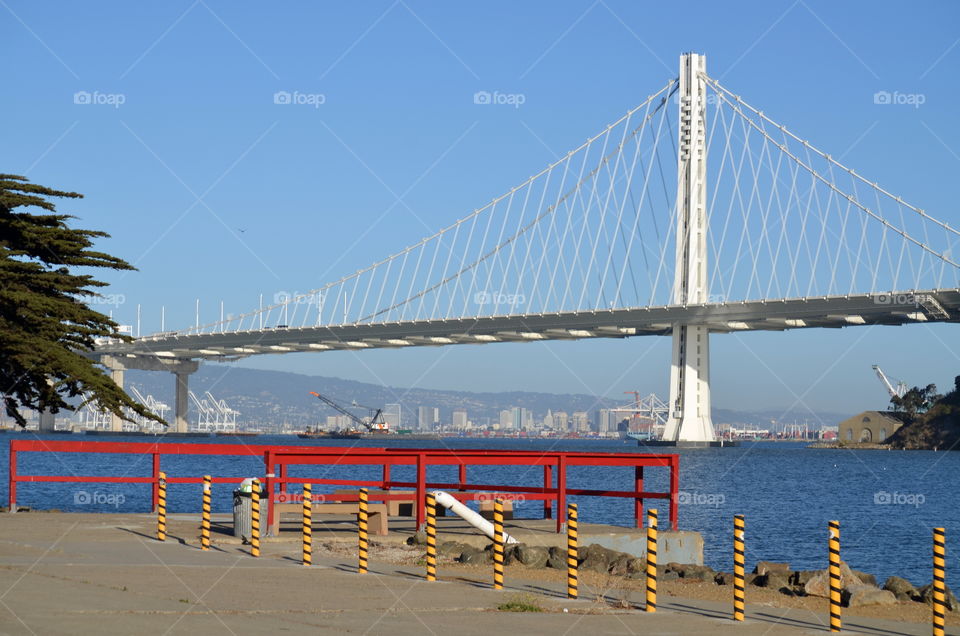 I'll meet you halfway! ⛵🌉