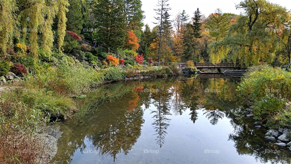 Fall reflections in a moose pond!