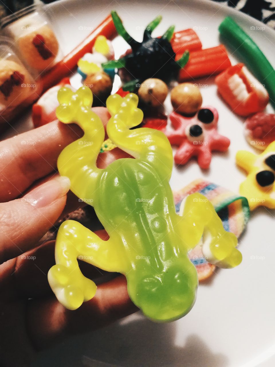 Hand holding frog shaped gummi candie