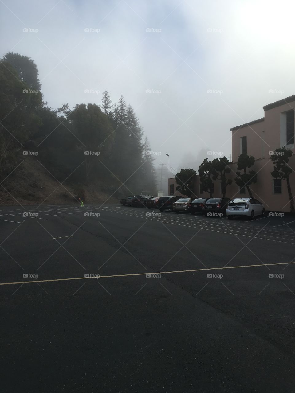 Fog in Piedmont