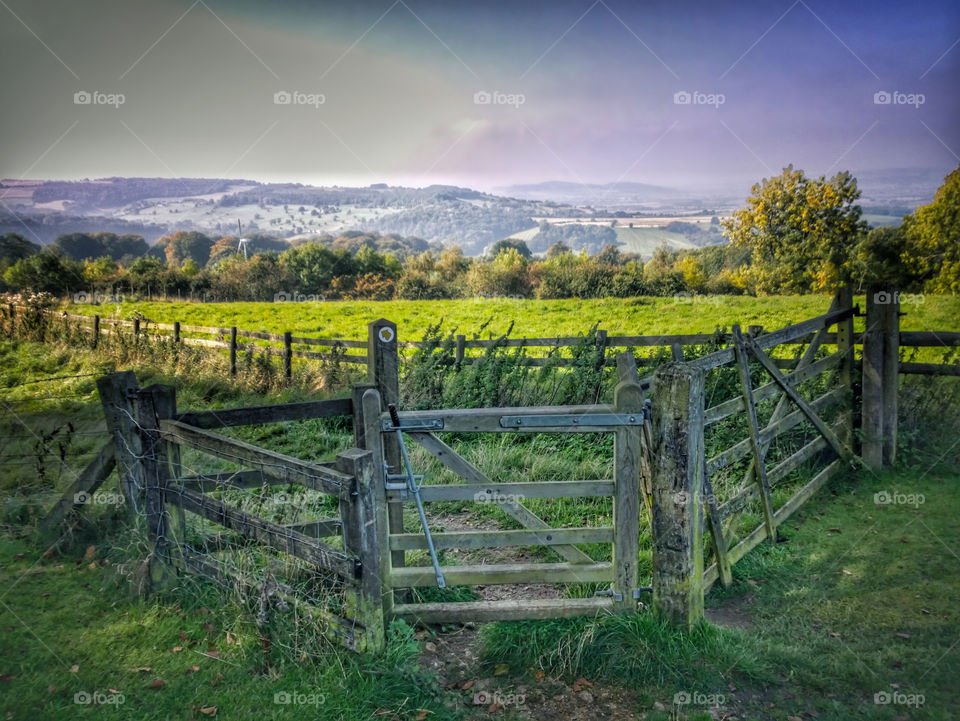 Gate. Cotswolds 