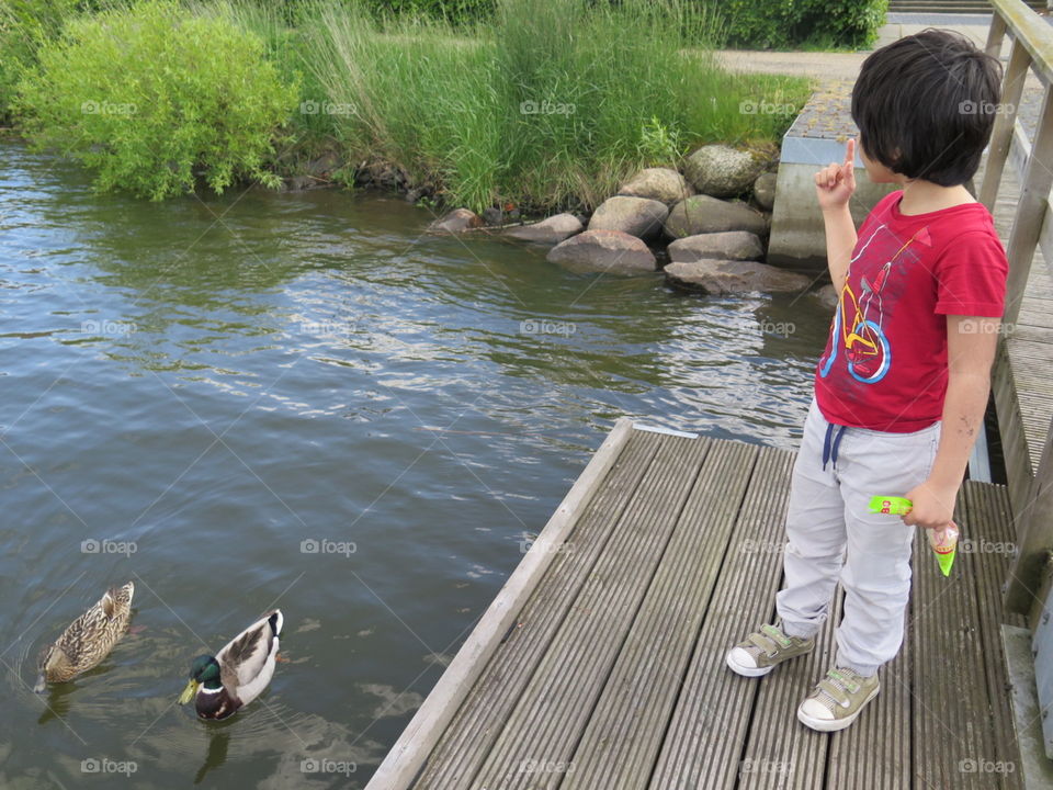 Duck training