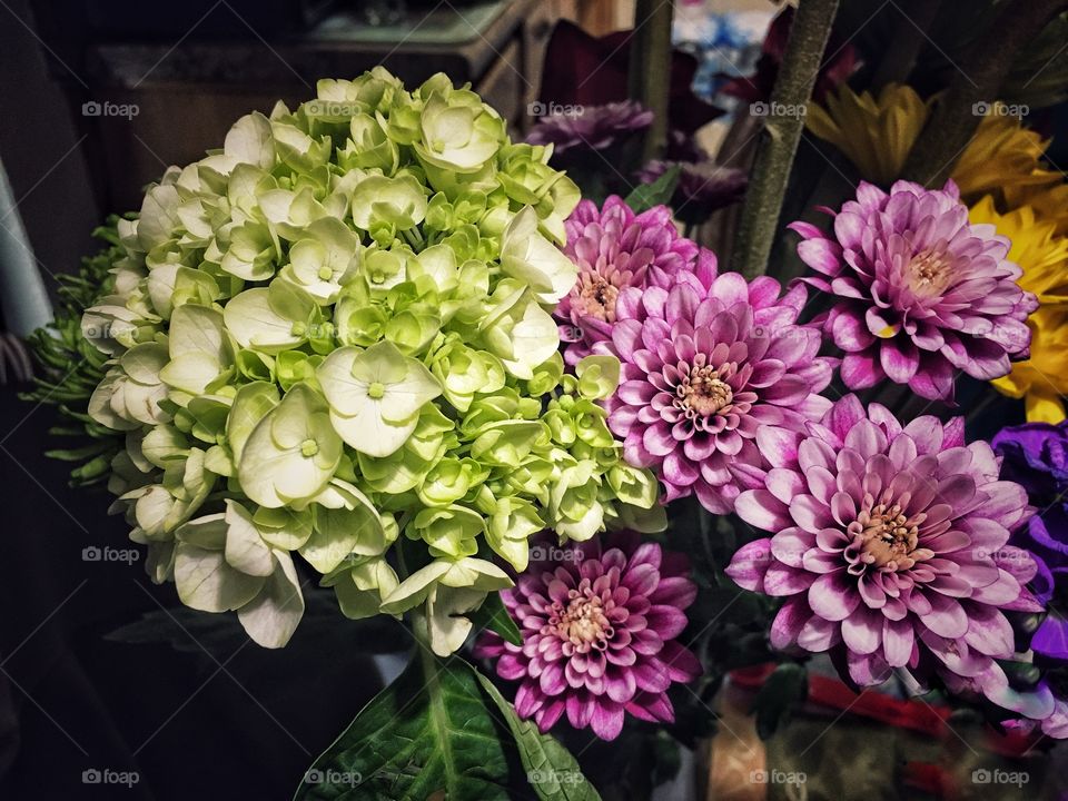 Flowers in bloom know how to light up the room 