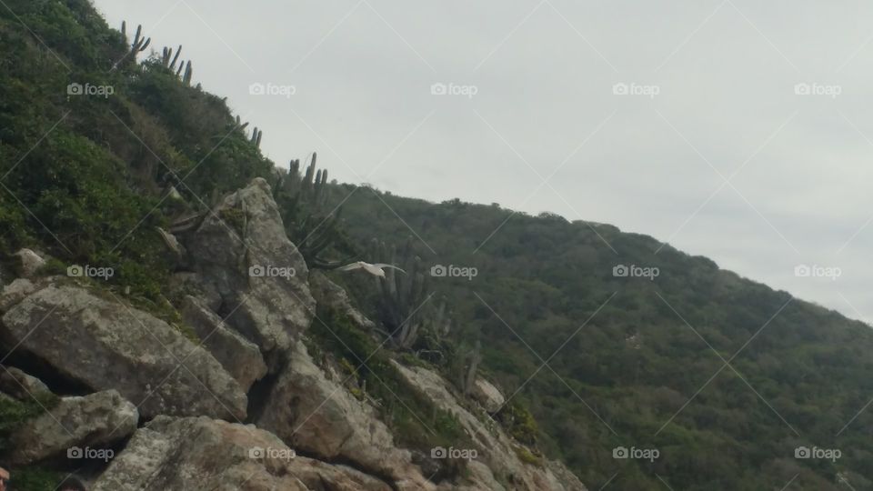 que atire a primeira pedra aquele que não tem pecado