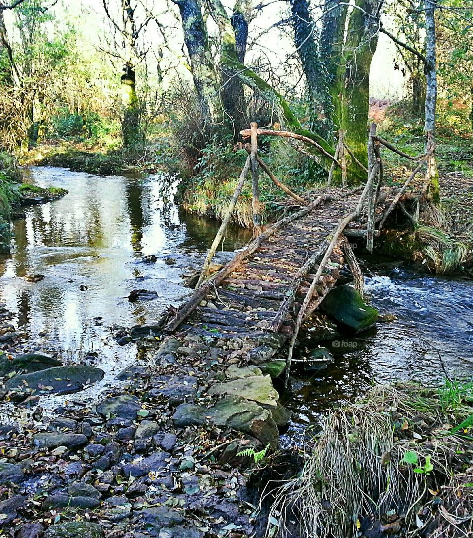 Old wooden bridge