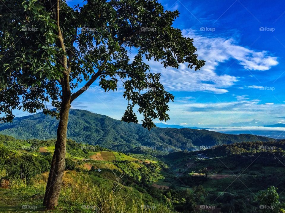 How amazing the nature is!