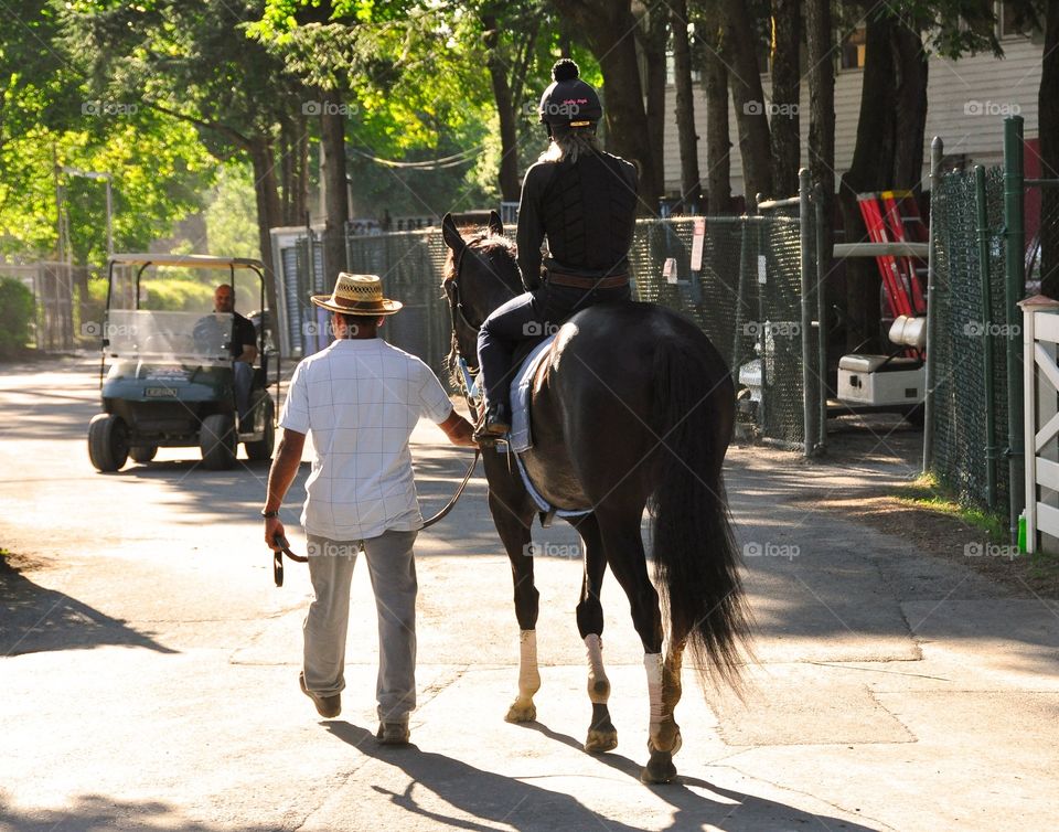 Early Morning at Saratoga. Opening day at Saratoga and the horses are ready to workout. Shelby Nagel leads this thoroughbred back to the stables. 