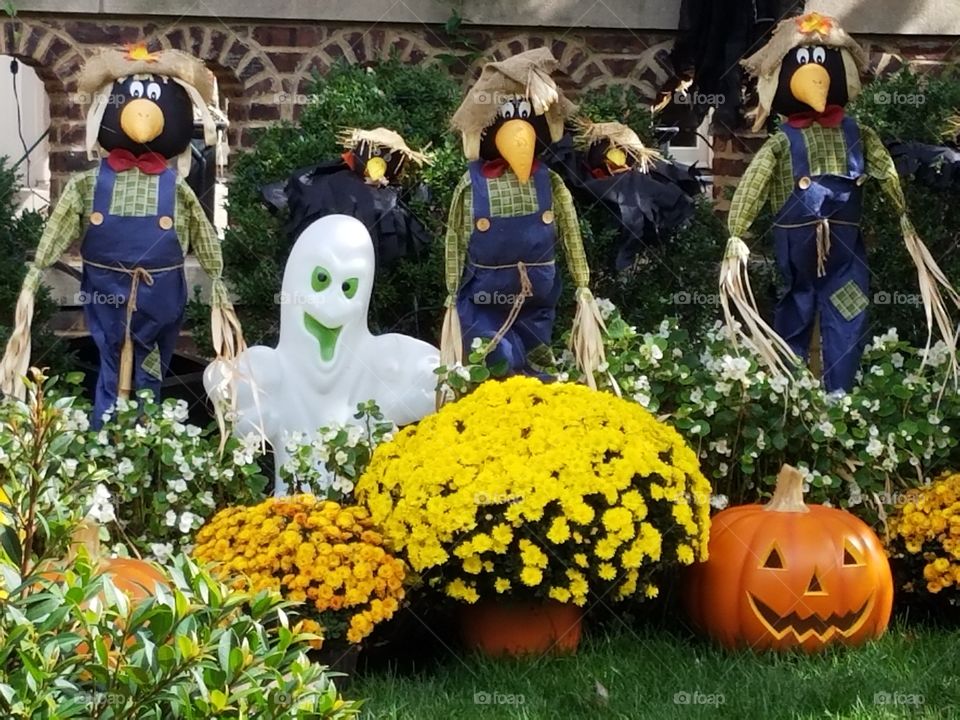 Halloween decorations display